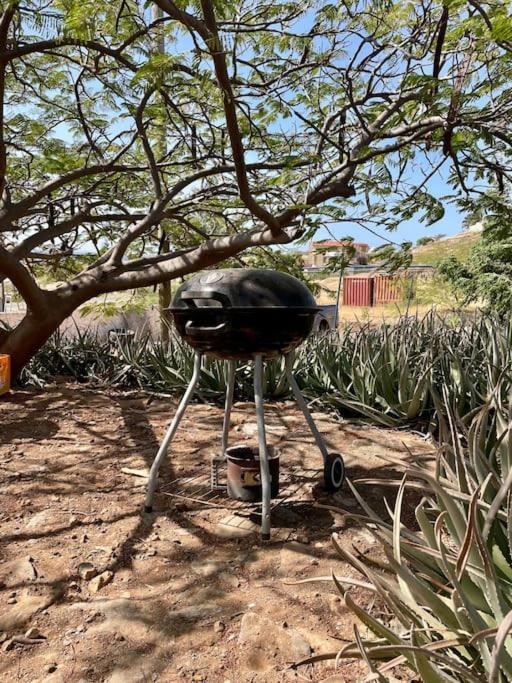 Casa Aloe Vera - Private House W/ Free Breakfast Cidade Velha Exteriör bild