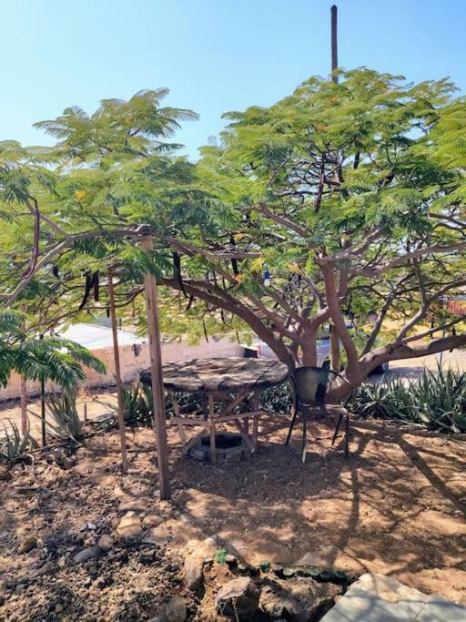 Casa Aloe Vera - Private House W/ Free Breakfast Cidade Velha Exteriör bild